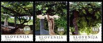 [Wine Making in Slovenia, type AGB]