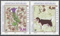 [Flora in Herzeg-Bosnia, type N]