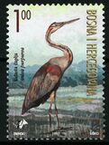 [Birds - Heron, Tip AL]