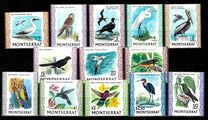 [Indigenous Birds, тып DR]
