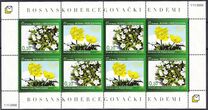 [Endemic Plants of Bosnia and Herzegovina, τύπος GA]