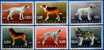 [Dog Breeds, 類型 BDN]