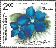 [Flowers - Jasna's Gentian, tip TR]