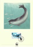 [Global Conservation - Seals and Penguins, type GC]