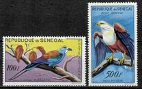 [Birds, type CE]