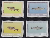 [Fish, type E]
