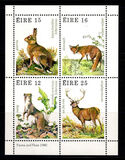 [Game Animals, type GS]