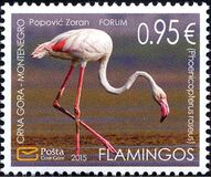 [Birds - Flamingo, type KM]