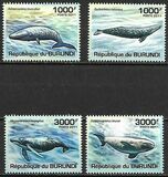[Marine Life - Whales, type BNA]