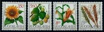 [Flora - Agricultural Plants, type BVZ]