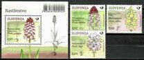 [Flowers - Slovenian Orchids, тип AJG]