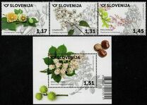 [Flowering Trees, ประเภท AUY]