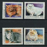 [Fauna- Cats, type CTN]