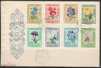 [Flowers, type EL]