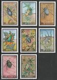 [Beetles, type XP]