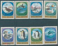 [Antarctic Exploration, típus ZWG]