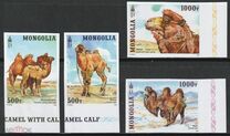 [Fauna - Camels, type EYC]