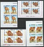 [Fauna - Camels, type EYC]