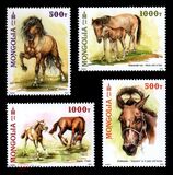 [A Herd of Horses, տեսակ FAM]