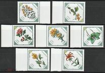 [Herbal Flowers, type XUN]