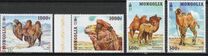 [Fauna - Camels, type EYC]