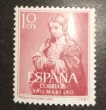 [Anno Mariano, Scrivi ANY]