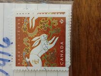 [Year of the Rabbit, type CWH]