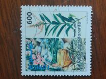 [Medicinal Plants, type AXO]