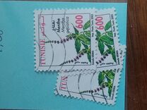 [Medicinal Plants, tip ASJ]