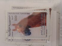 [Horses, тип AJM]