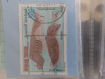 [Molluscs, 类型 AIN]