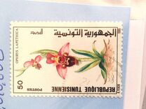 [Animals and Plants, type AHA]