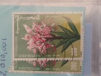 [Plants, ประเภท AFT]