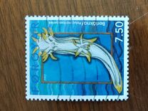 [Molluscs, тип OM]