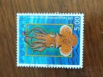 [Molluscs, тип OK]