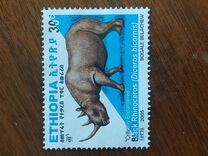 [Rinoceronte. Diceros bicornis., tipo BDR5]