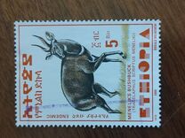 [Menelik´s Bushbuck, type AZF21]