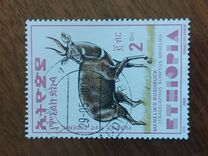 [Menelik´s Bushbuck, type AZF19]