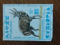 [Menelik´s Bushbuck, type AZF16]