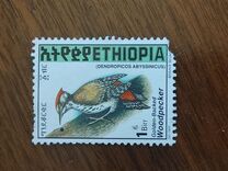 [Golden-mantled Woodpecker, tip AXO18]