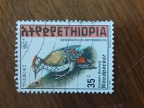 [Golden-mantled Woodpecker, tip AXO6]