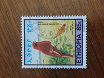 [Birds, type ALX]