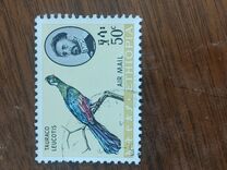 [Airmail - Birds, Tipi NV]