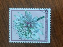 [Meadow Flowers, タイプ BRY]