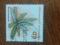 [Ferns, jenis AKL]