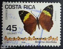 [Butterflies, type AOO]