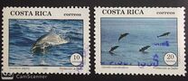 [Dolphins, Вид ALL]