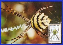 [Spiders, type HB]