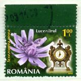 [Flowers & Clocks, type JOR]