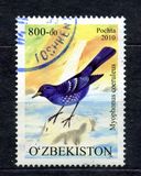 [Rare Birds of Uzbekistan, type ADO]